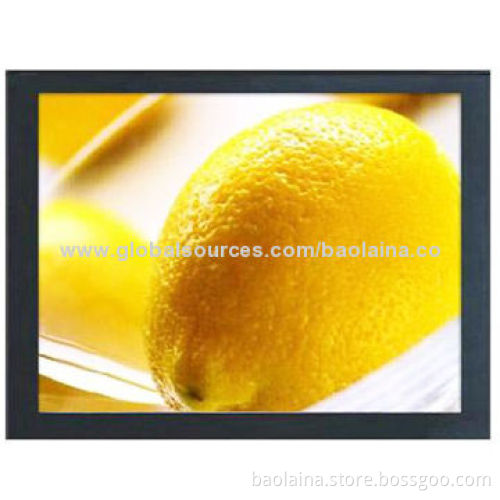 17-inch Embedded LCD Monitor with VGA Input, Optional BNC